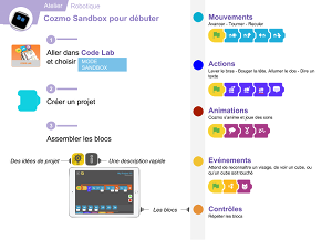 Cozmo Sandbox